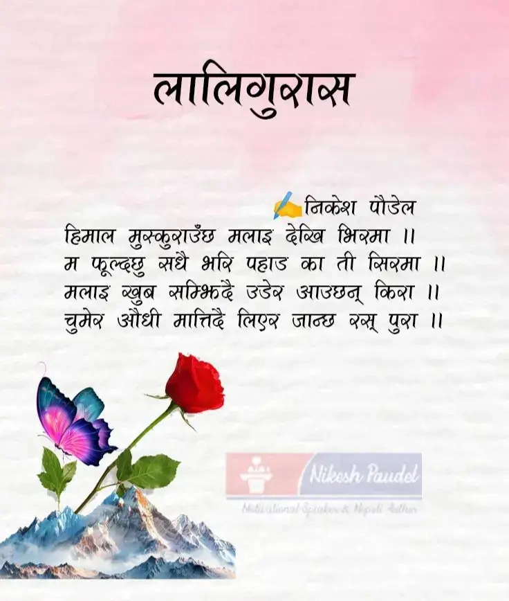 Rose Poem in Nepali inspired wild rose blooming on Himalayan cliff